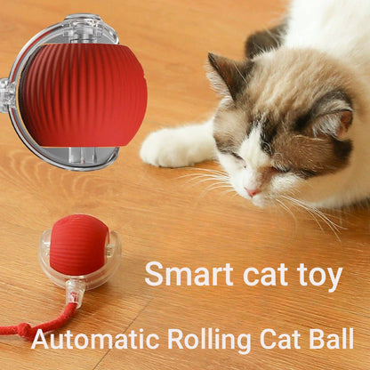 New Cat Interactive Ball Toy,Automatic Rolling Cat Ball Rechargeable,Smart Kitten Interactive Toy,Intelligent Balls Toy for Cat