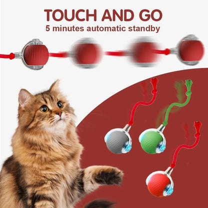 New Cat Interactive Ball Toy,Automatic Rolling Cat Ball Rechargeable,Smart Kitten Interactive Toy,Intelligent Balls Toy for Cat